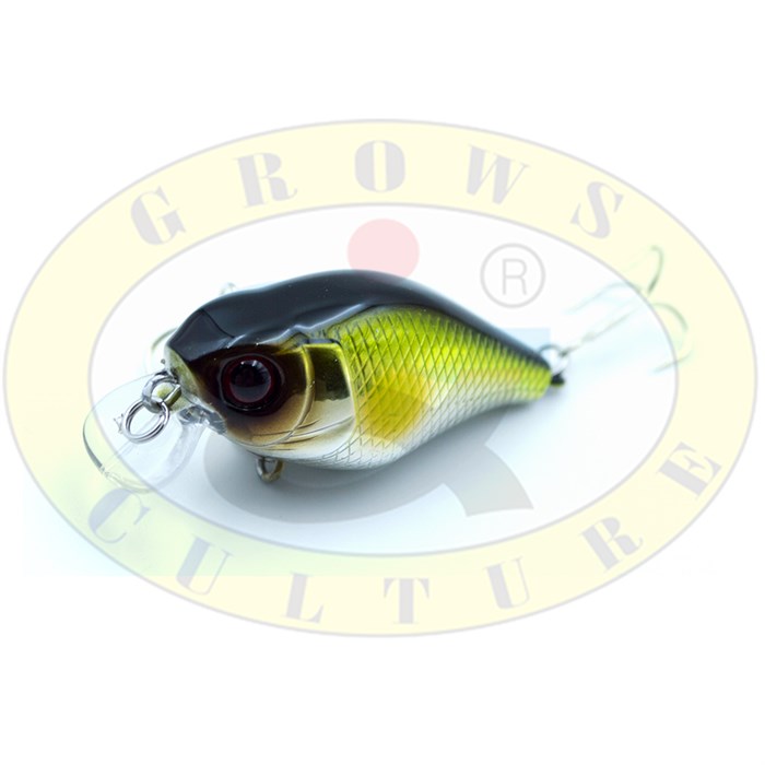 Grows Culture Chubby 38mm 4 rp 6939 - фото 12974