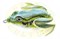 Grows Culture Frog Lure 001TA 4см, 6гр, 005 - фото 7355