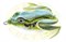 Grows Culture Frog Lure 001TA 5см, 10гр, 005 - фото 7362