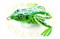 Grows Culture Frog Lure 001TA 5см, 10гр, 006 - фото 7363